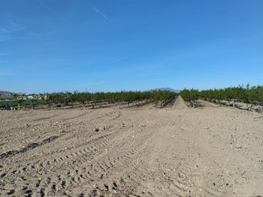 Terreno rustico in vendita a Totana