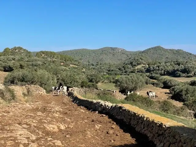 Casa o chalet en venta en Ciutadella de Menorca con Jardín privado, Terraza y Trastero