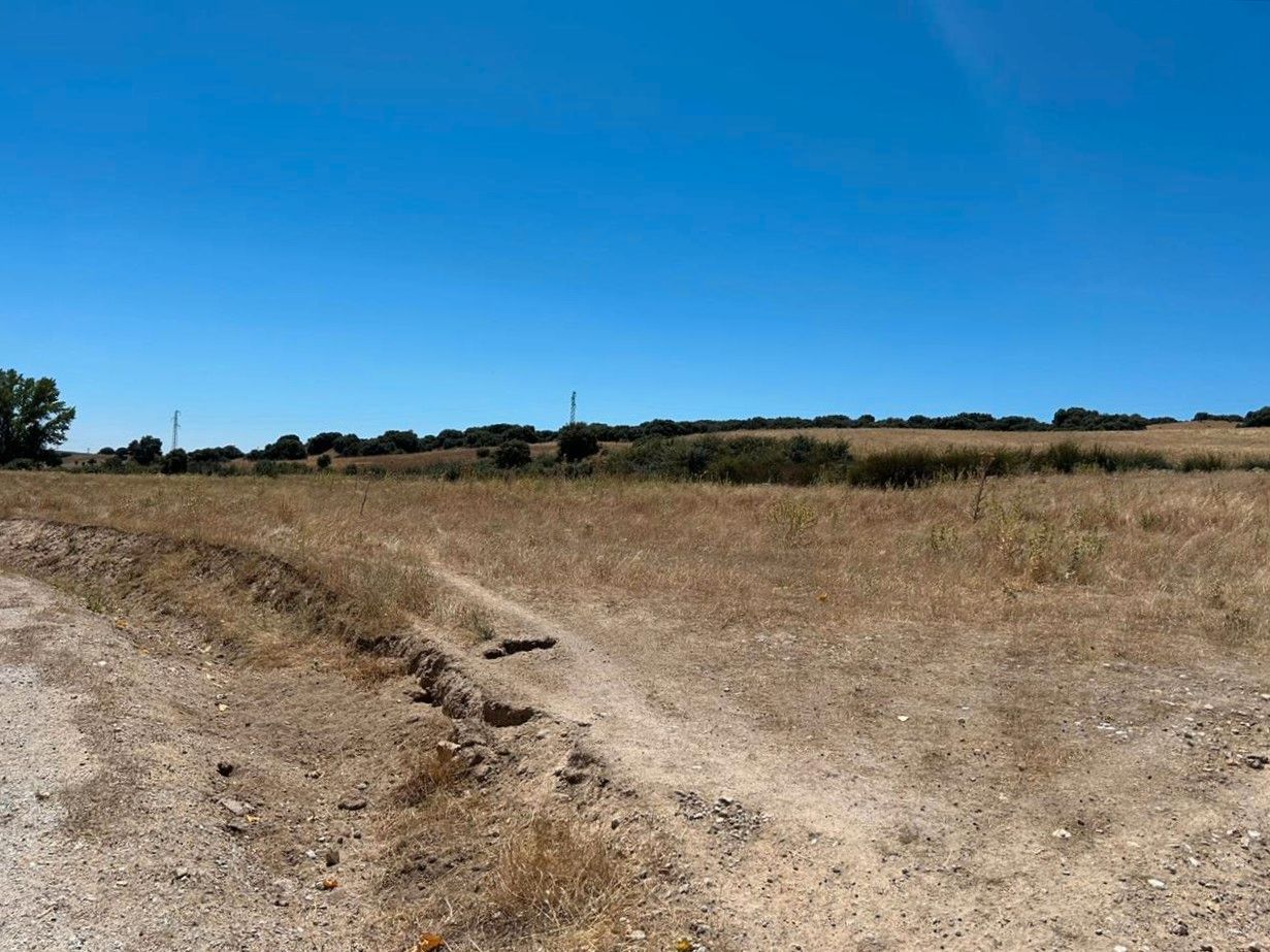 Land for sale in Colmenar Viejo