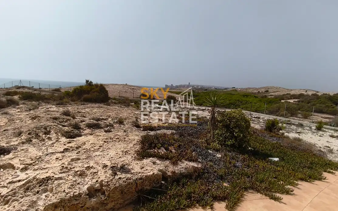 Casa pareada con jardín en venta en San Gabriel - Palmeral - Urbanova, imagen 5