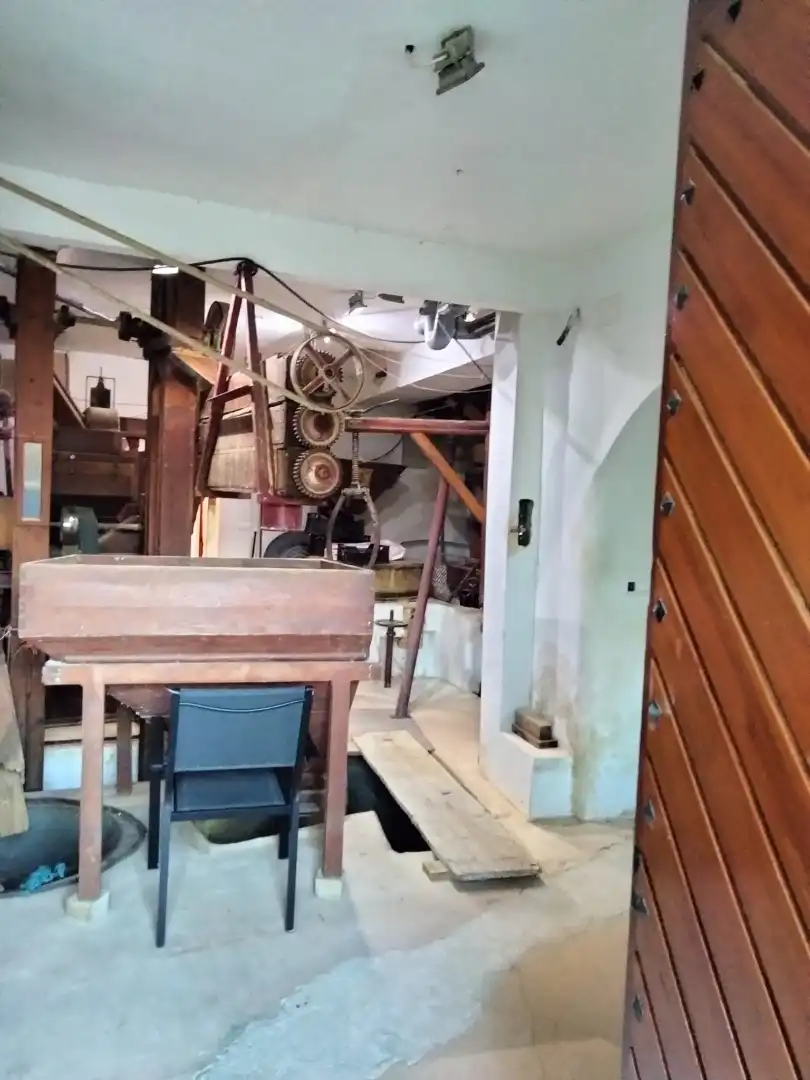 Inmuebles singulares con piscina en venta en Travesía Carretera de Mula 2, imagen 11