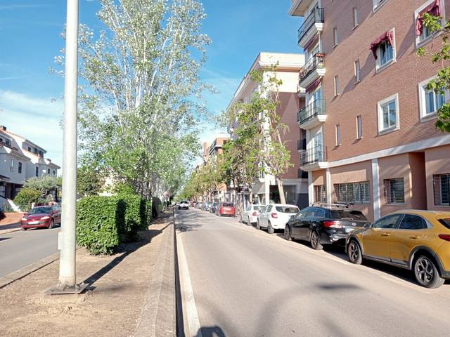 Local comercial en Alquiler en Avenida Elvas