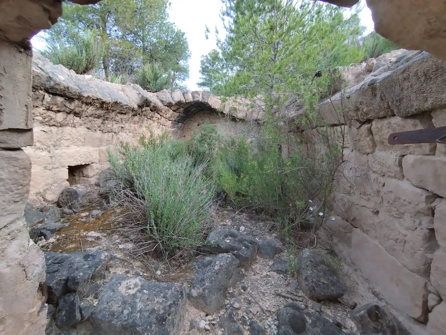 Jardí de Casa o xalet en venda en Cervià de Les Garrigues amb Traster