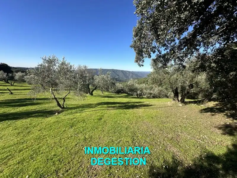 Terreni e lotti in vendita a Andújar, imagen 29