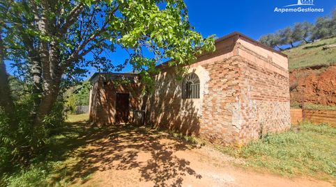 Foto 2 de Finca rústica en venda a Camino de la Ermita, 18, Las Navas de la Concepción, Sevilla