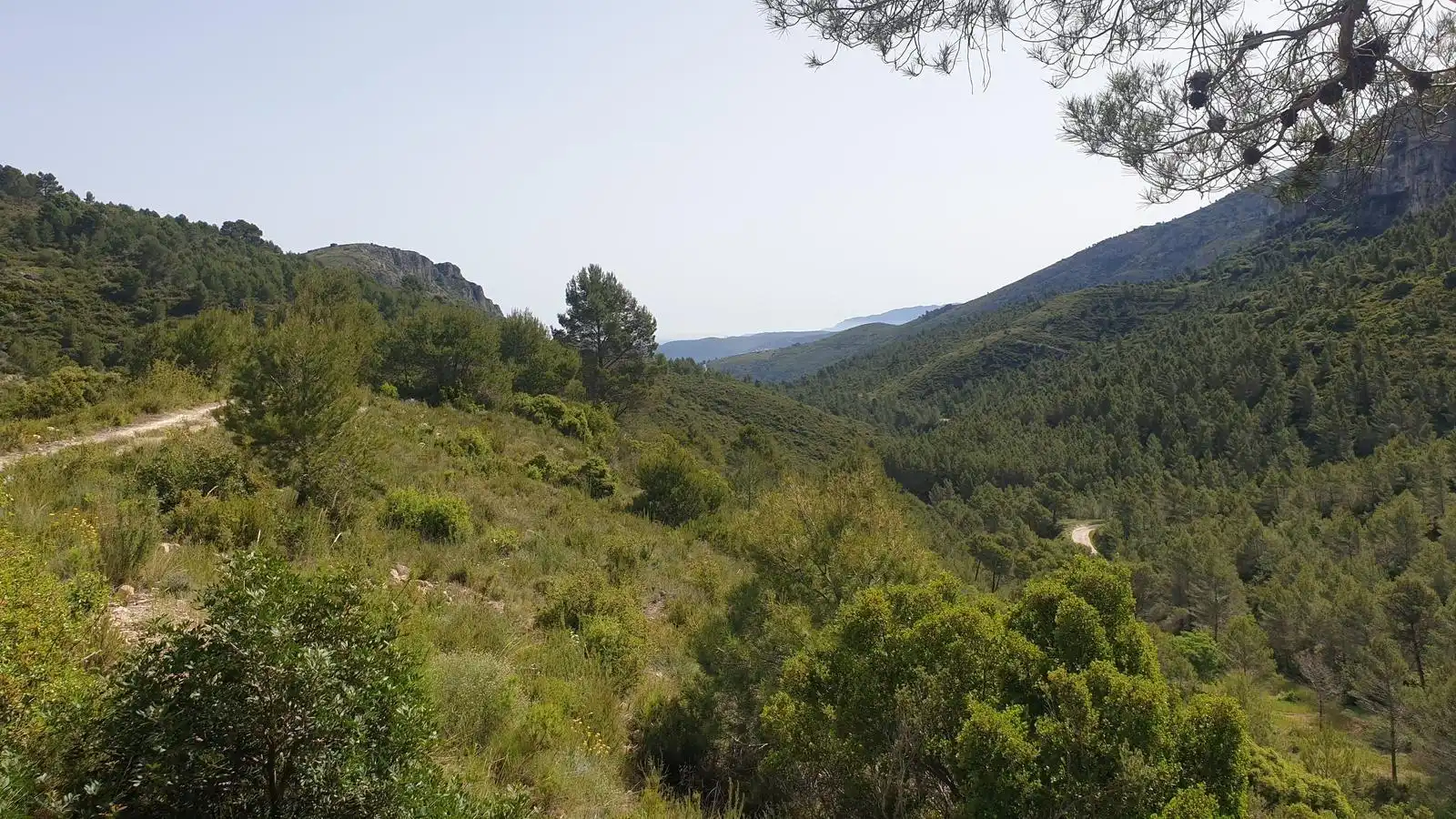 Land for sale in Benigembla