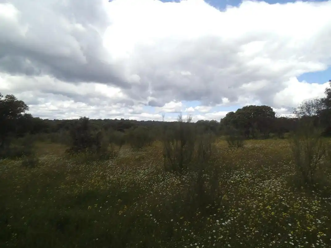 Residencial en venda en Valdemorillo