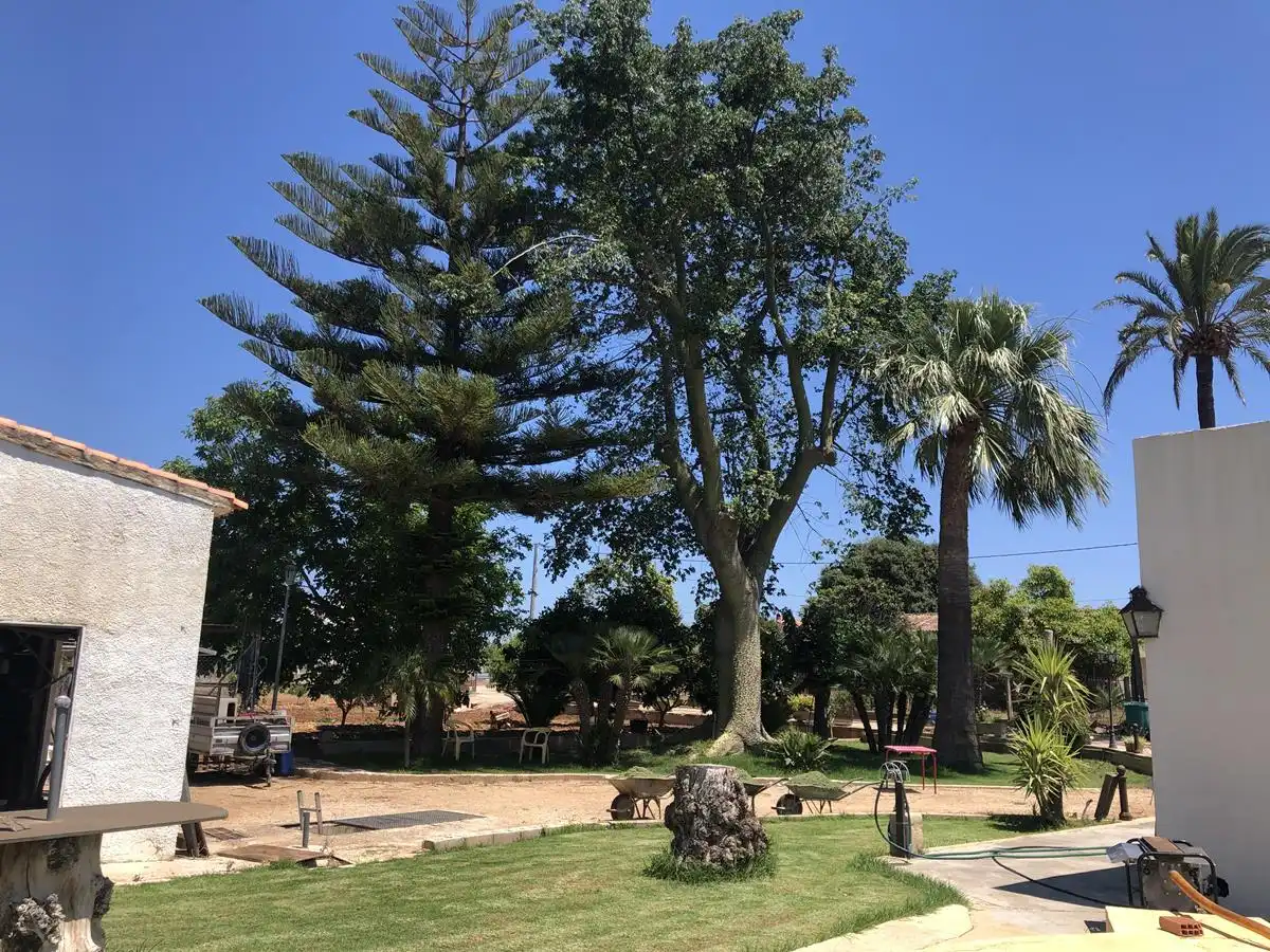 Maison rustique à vendre à Ondara, imagen 10