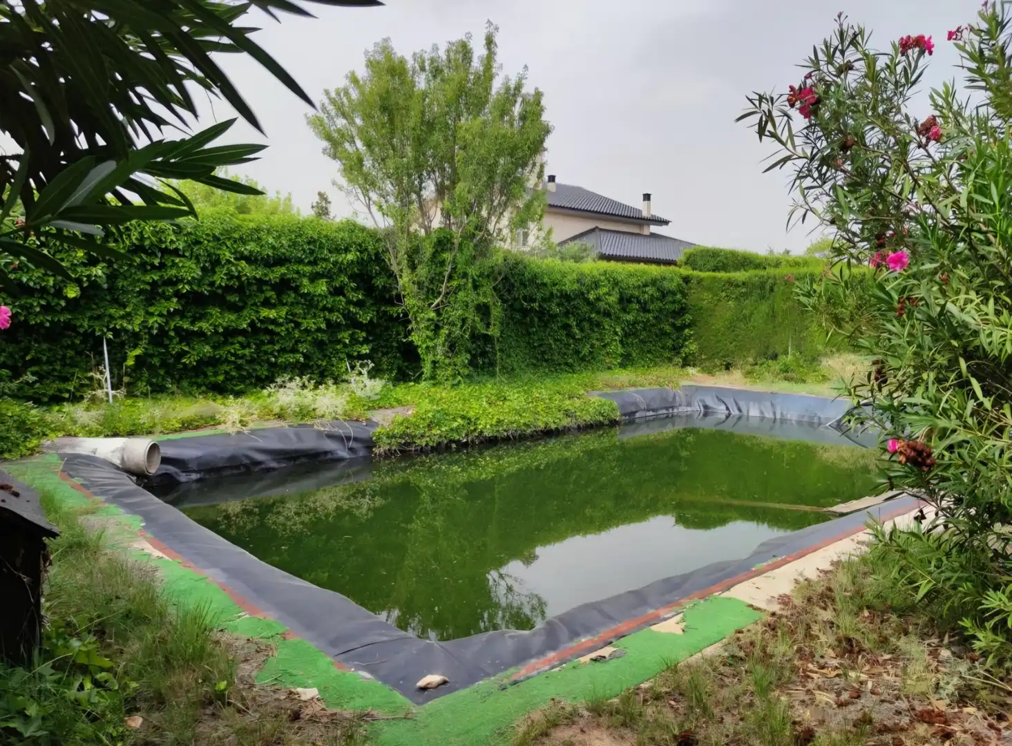 Jardí de Finca rústica en venda en Caravaca de la Cruz amb Jardí privat, Piscina i Moblat