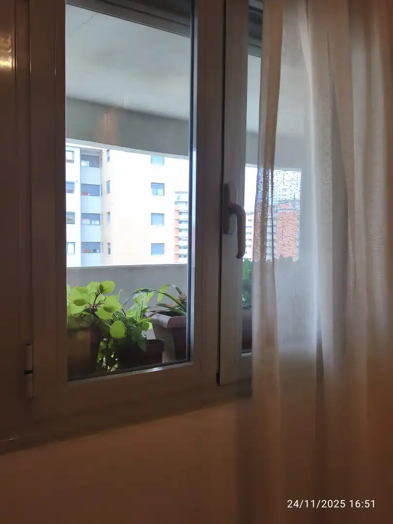 Room in Bellavista
