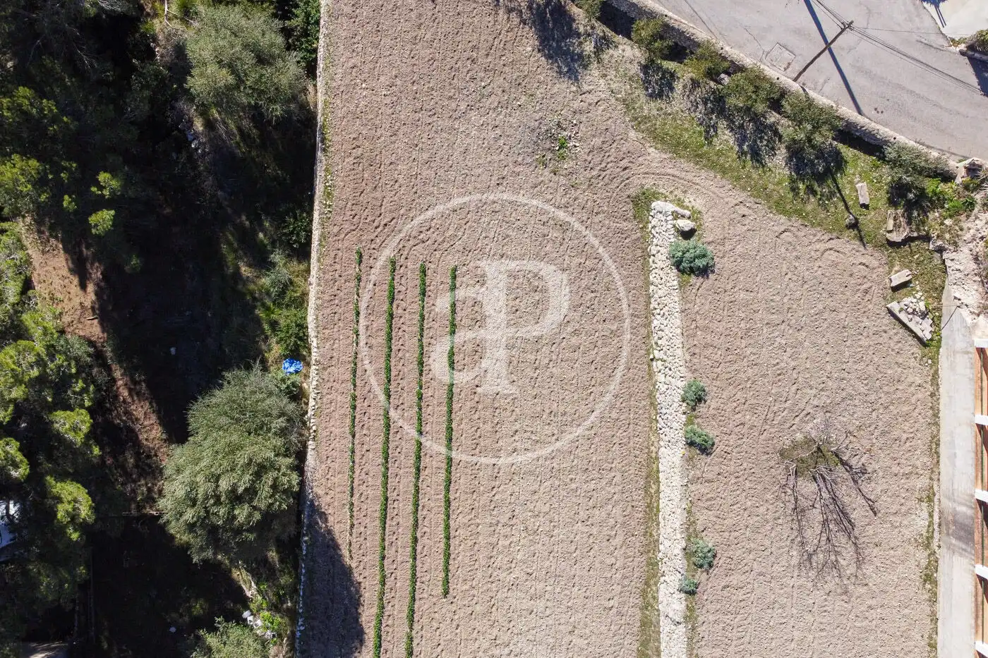 Residential for sale in Puigpunyent