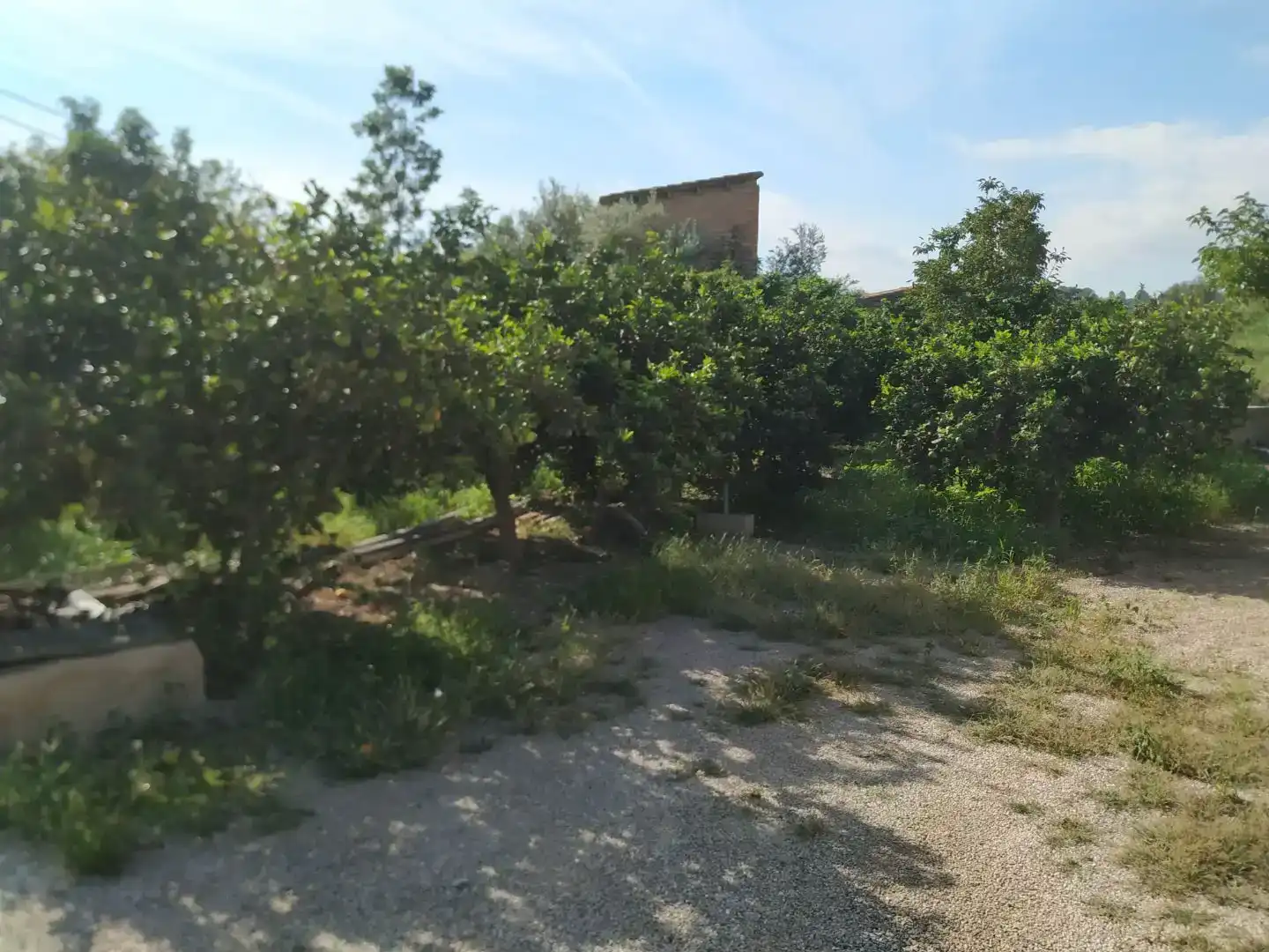 Finca rústica en venda en Tortosa