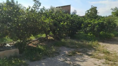 Foto 5 de Finca rústica en venda a C-42, 13, Ferreries, Tortosa