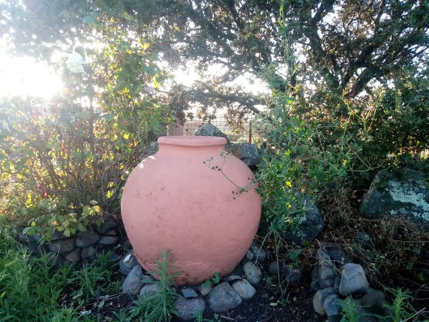 Terreni e lotti in vendita a Castilblanco de los Arroyos, imagen 17