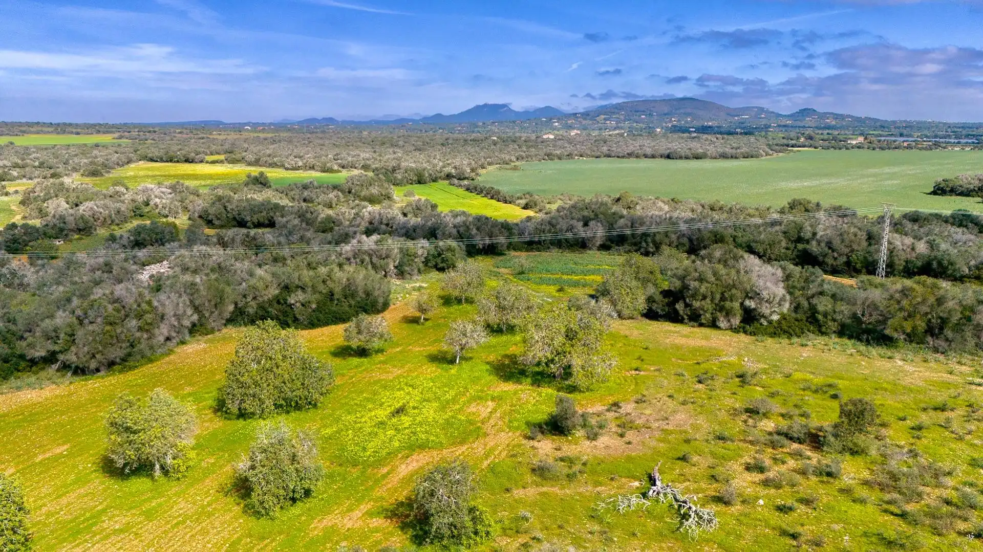 Residential for sale in Santanyí