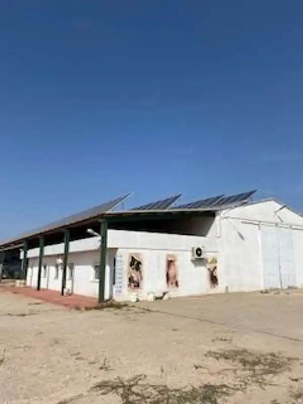 Industriegebäude zur Miete in Camino Tomelloso