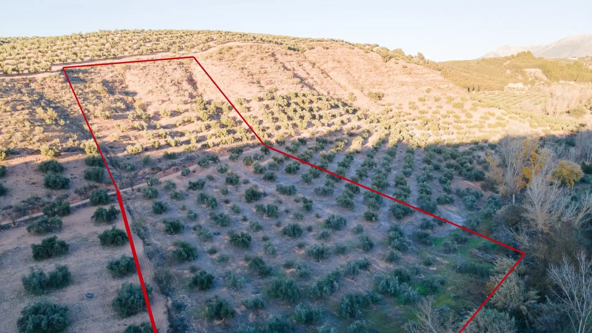 Land for sale in Calicasas