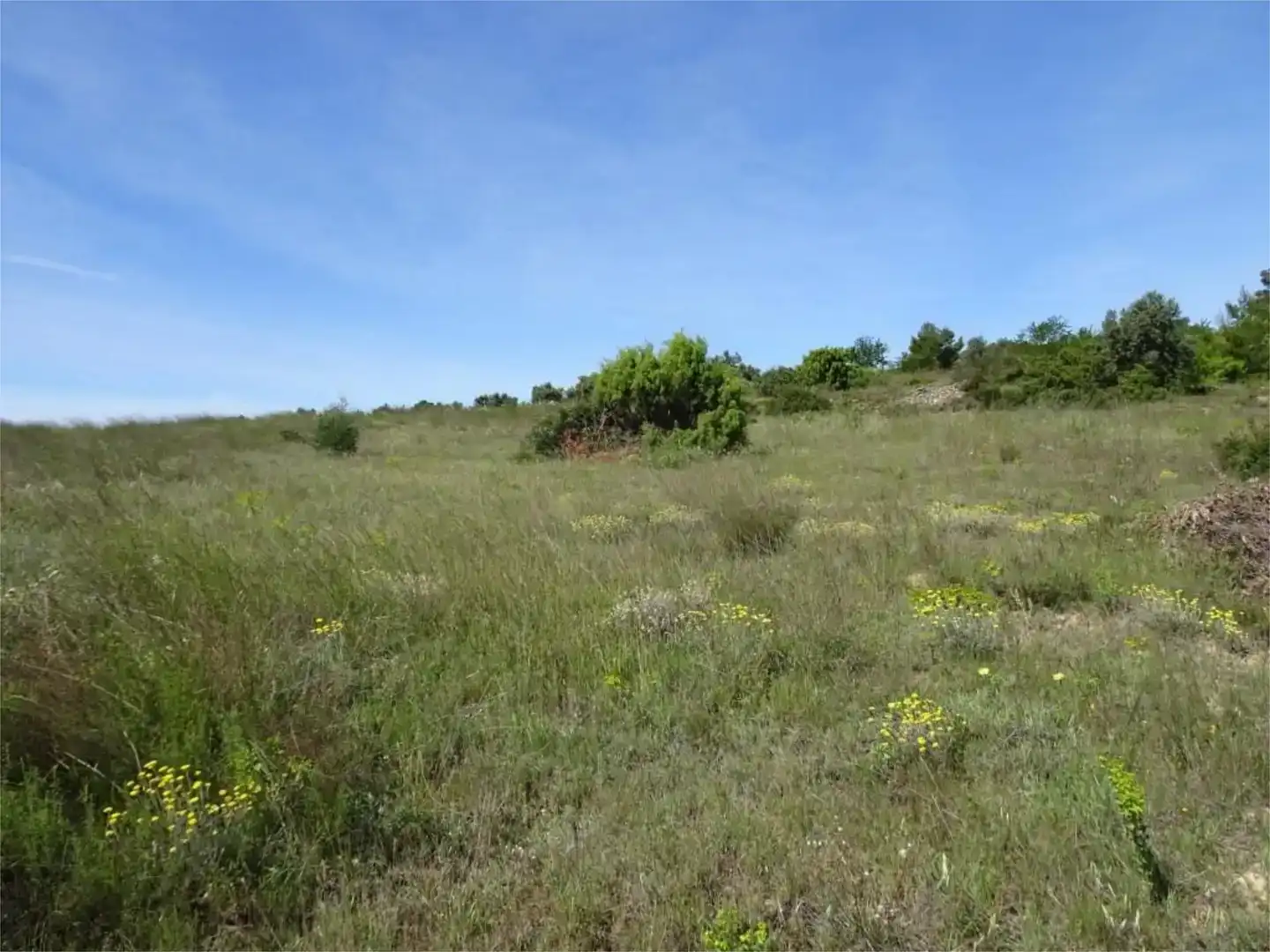 Land for sale in Batea