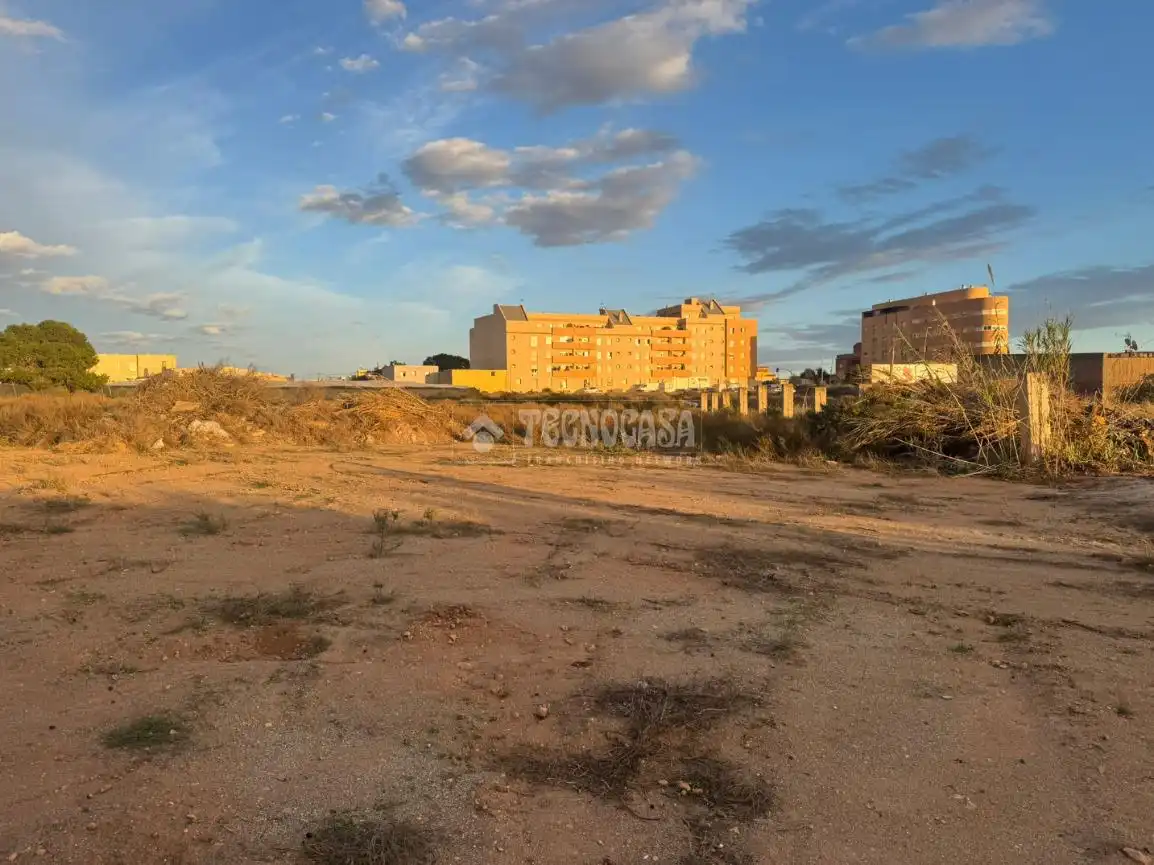 Terreno rústico en venta en Roquetas de Mar ciudad, imagen 5