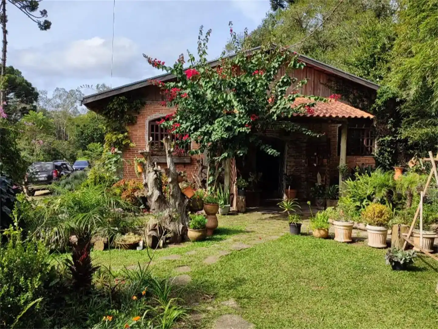 Jardí de Finca rústica en venda en Alcalá de los Gazules