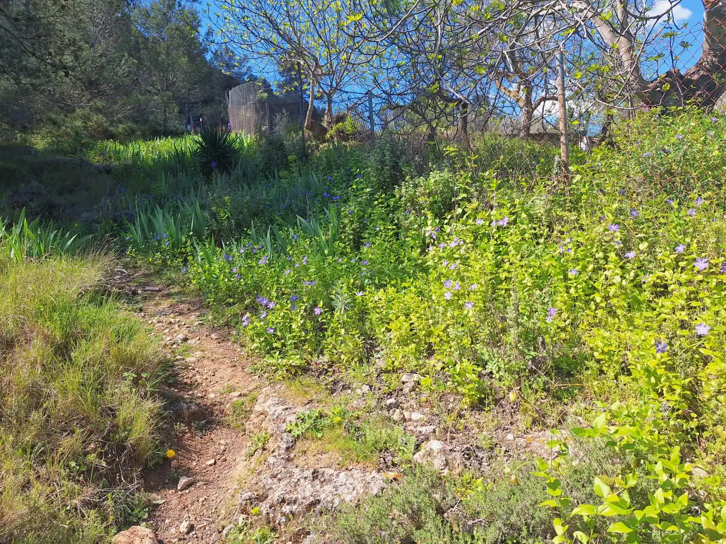 Finca rústica en venda en Alcoy / Alcoi amb Traster i Moblat