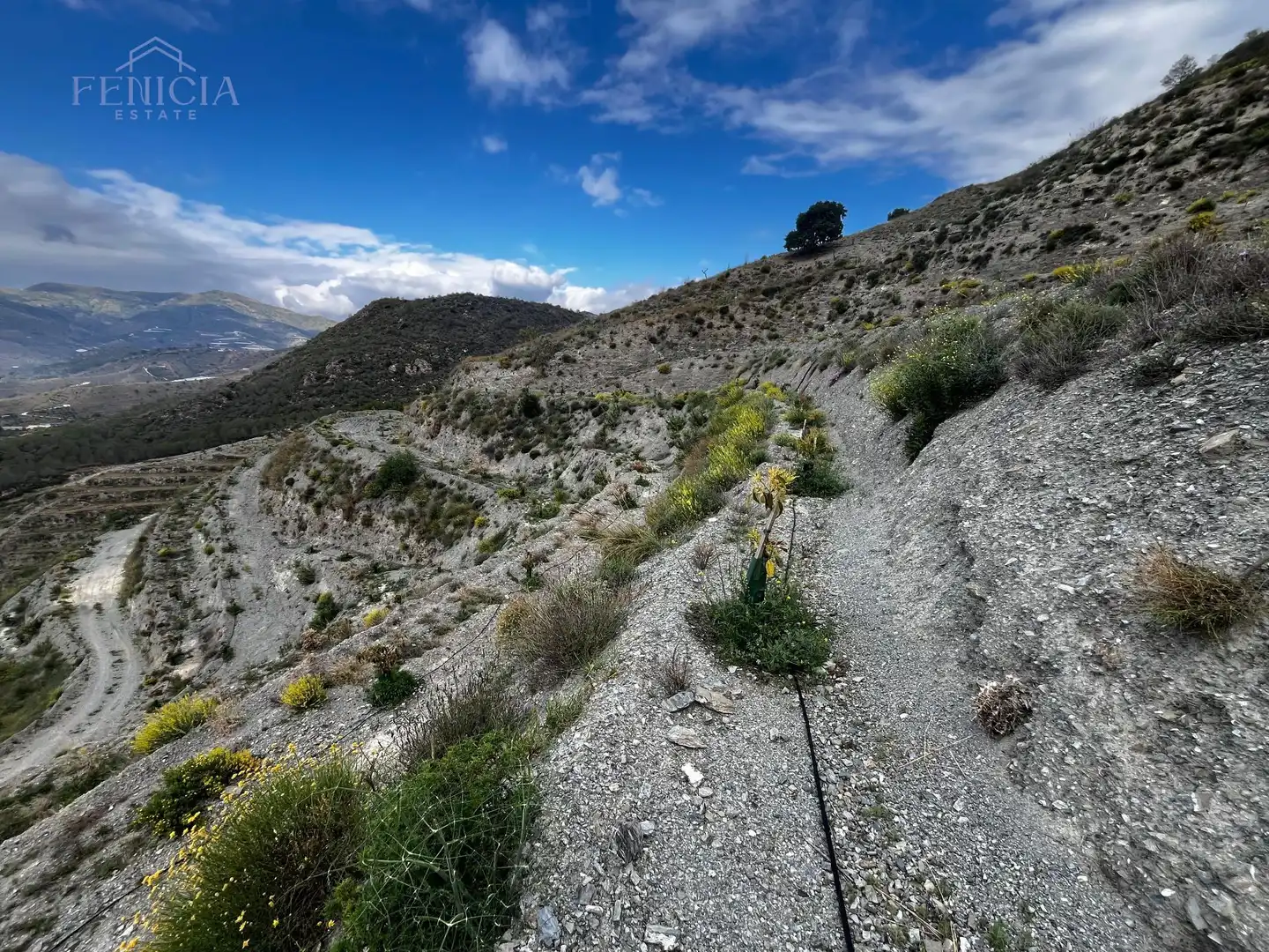 Terreny rústic en venda a Molvízar, imagen 4
