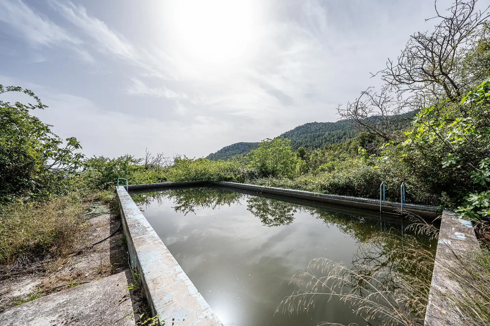 Piscina de Finca rústica en venta en Moratalla con Piscina