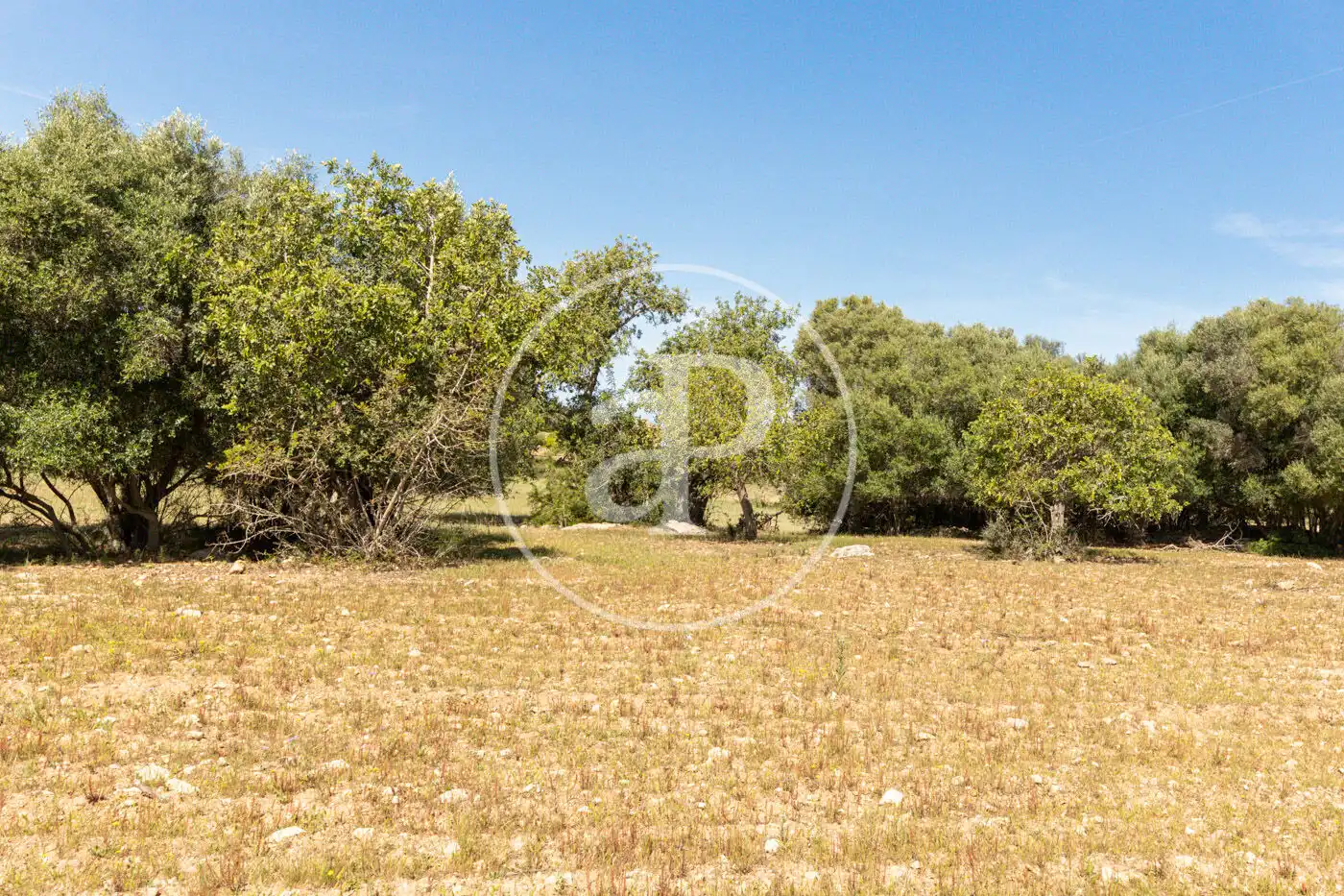 Residencial en venta en Felanitx
