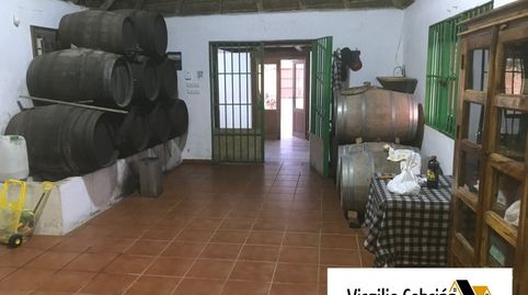 Foto 4 de Finca rústica en venta en Centro, Chipiona