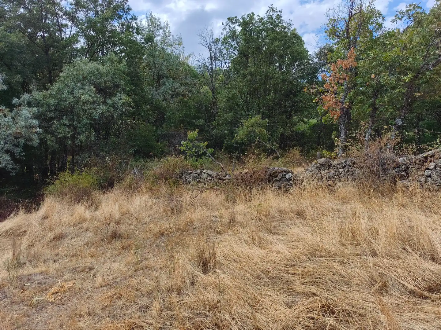 Terreno en venta en Piñuécar-Gandullas