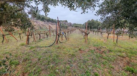 Foto 3 de Residencial en venda a 7, Zona Industrial, Granollers