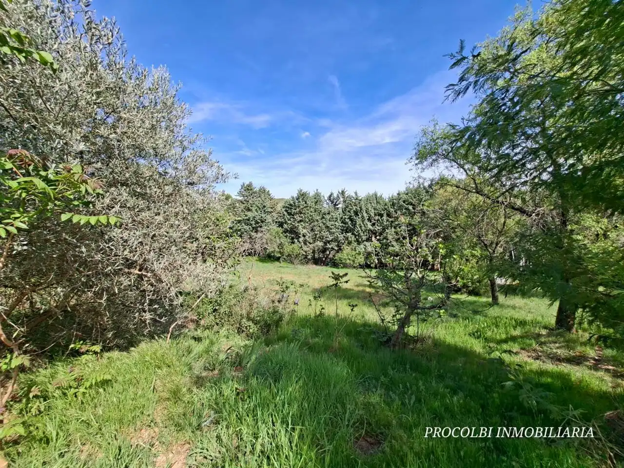 Casa o xalet en venda en Uceda amb Aire condicionat, Jardí privat i Terrassa