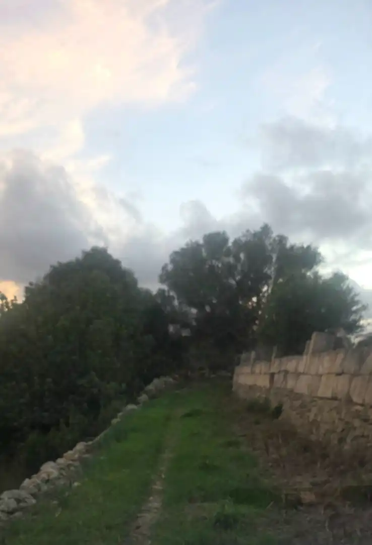 Rustikales Grundstück zum Verkauf in Camí de Son Dalmau 2, imagen 17