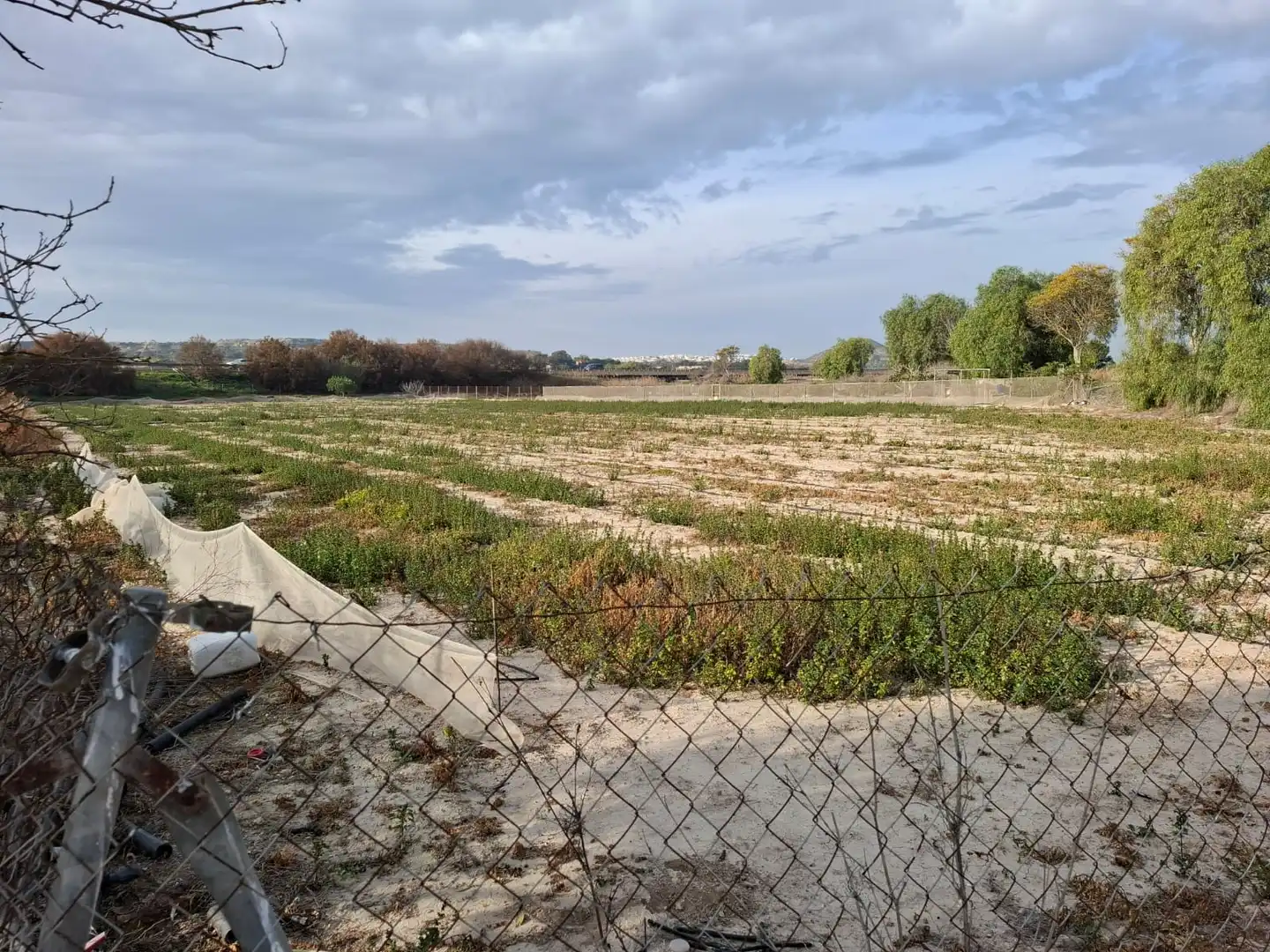 Terreno en venta en Guardamar del Segura