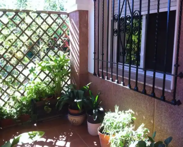 Finca rústica en venda a El Higuerón