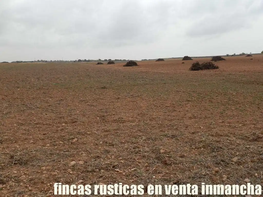 Terreno rustico in vendita a Alcázar de San Juan, imagen 16