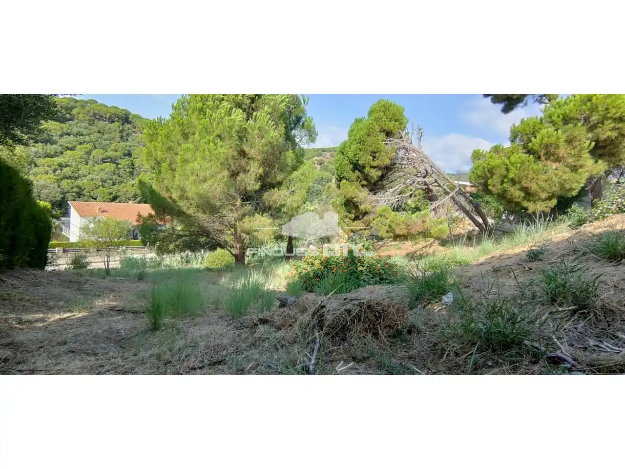 Terreno residencial en venta en Calle Llevante, imagen 8