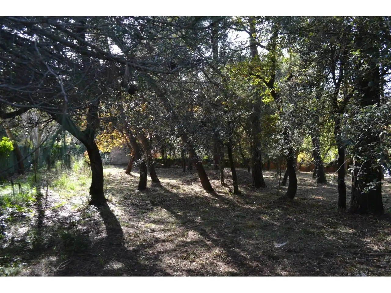 Terrain résidentiel à vendre à Calle Cavall Bernat, imagen 6