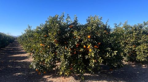 Foto 3 von Country house zum Verkauf in Urbanizaciones, Llíria