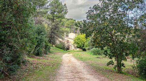 Foto 4 de Casa o chalet en venta en Despoblado, Sant Andreu de la Barca, Barcelona