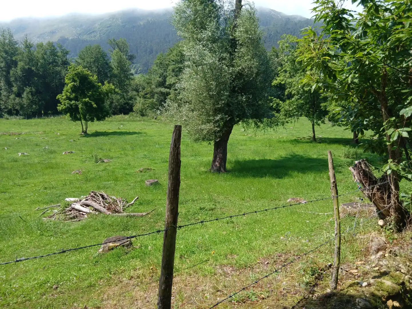 Terreni e lotti in vendita a San Felices de Buelna, imagen 9