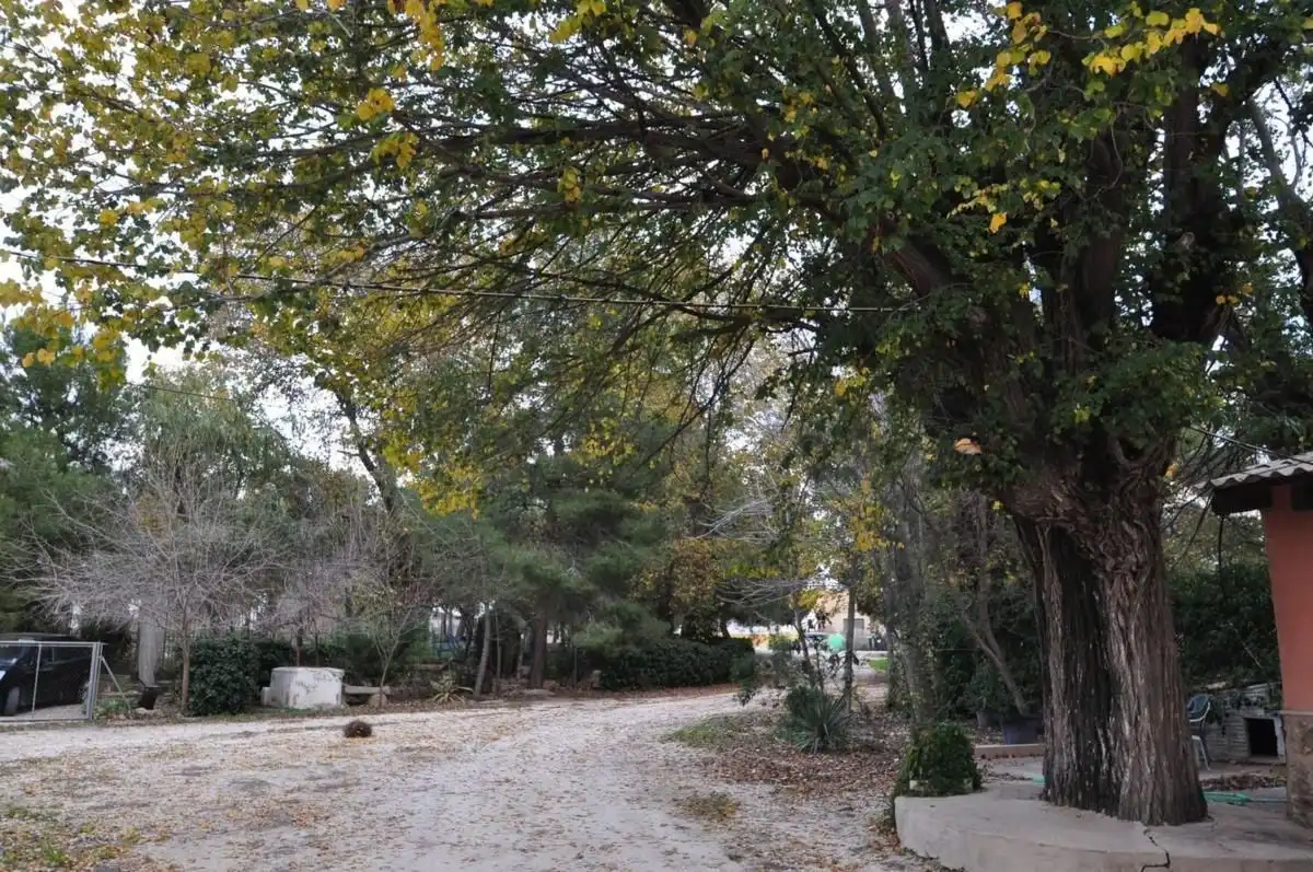 Maison mitoyenne à vendre à El Pinós / Pinoso, imagen 15