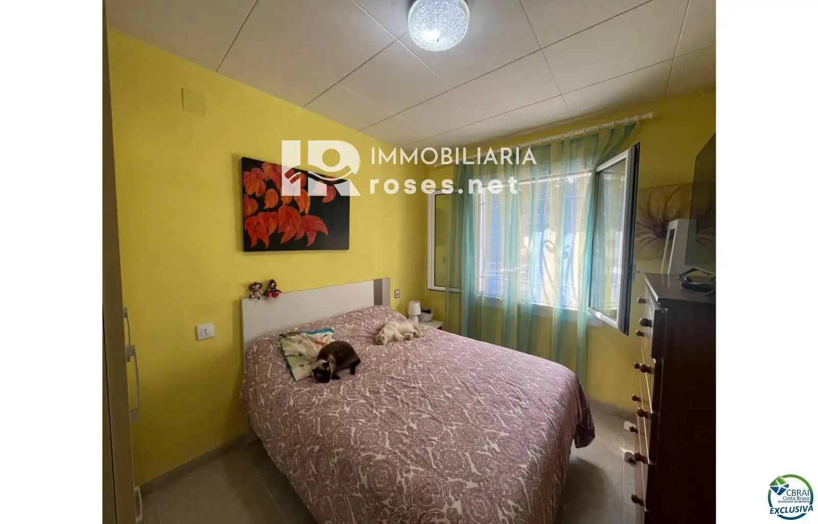 Casa in vendita a Calle Argentera, imagen 17