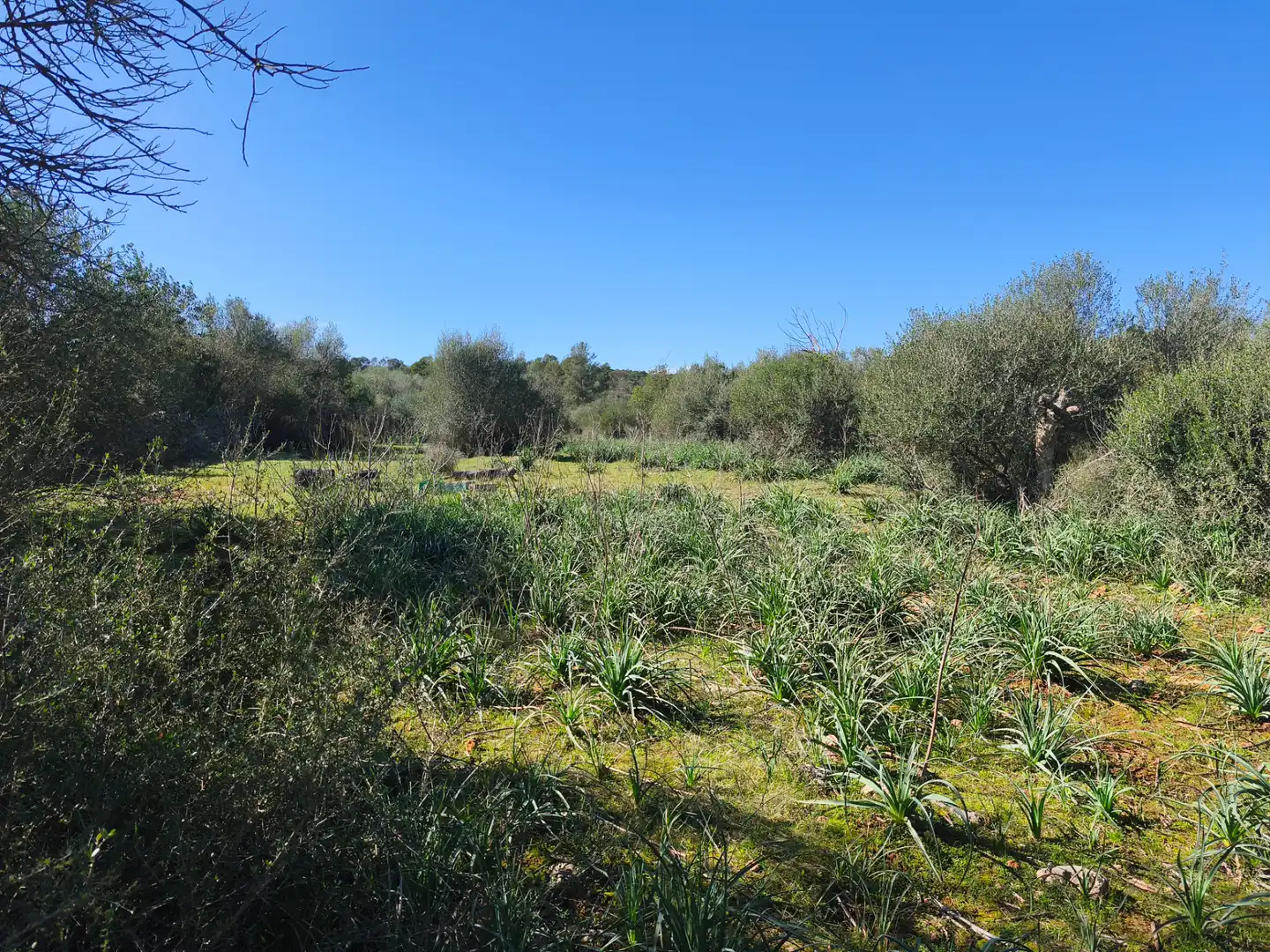 Terreno residencial en venta en Carrer Ruberts 24, imagen 9
