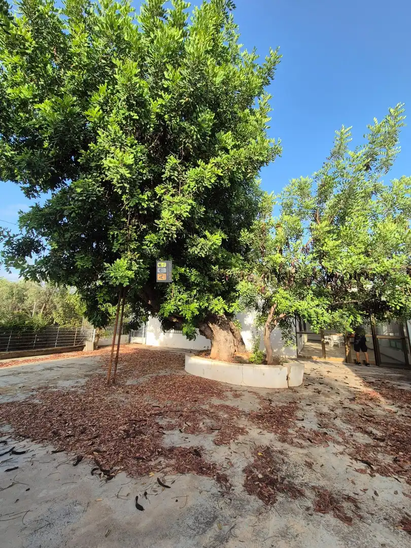 Casa o chalet en venta en Altea ciudad
