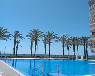 Swimming pool of Apartment to rent in Algarrobo  with Furnished and Pets allowed