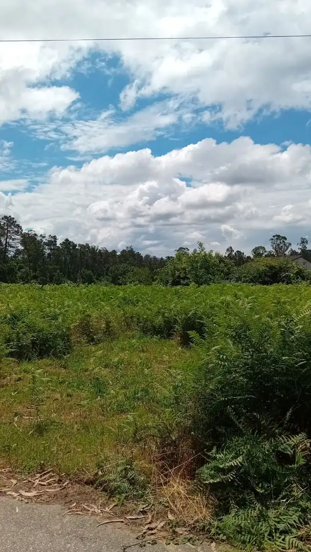 Terrenys i solars en venda a Salvaterra de Miño, imagen 7