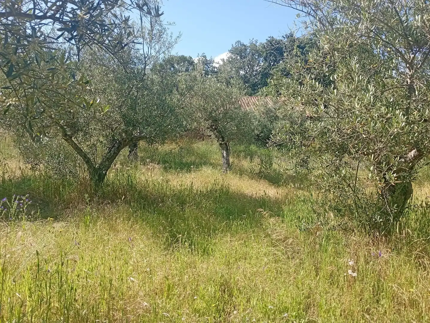 Maison à vendre à Villanueva de la Vera, imagen 46