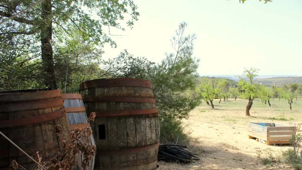 Jardí de Finca rústica en venda en Maella