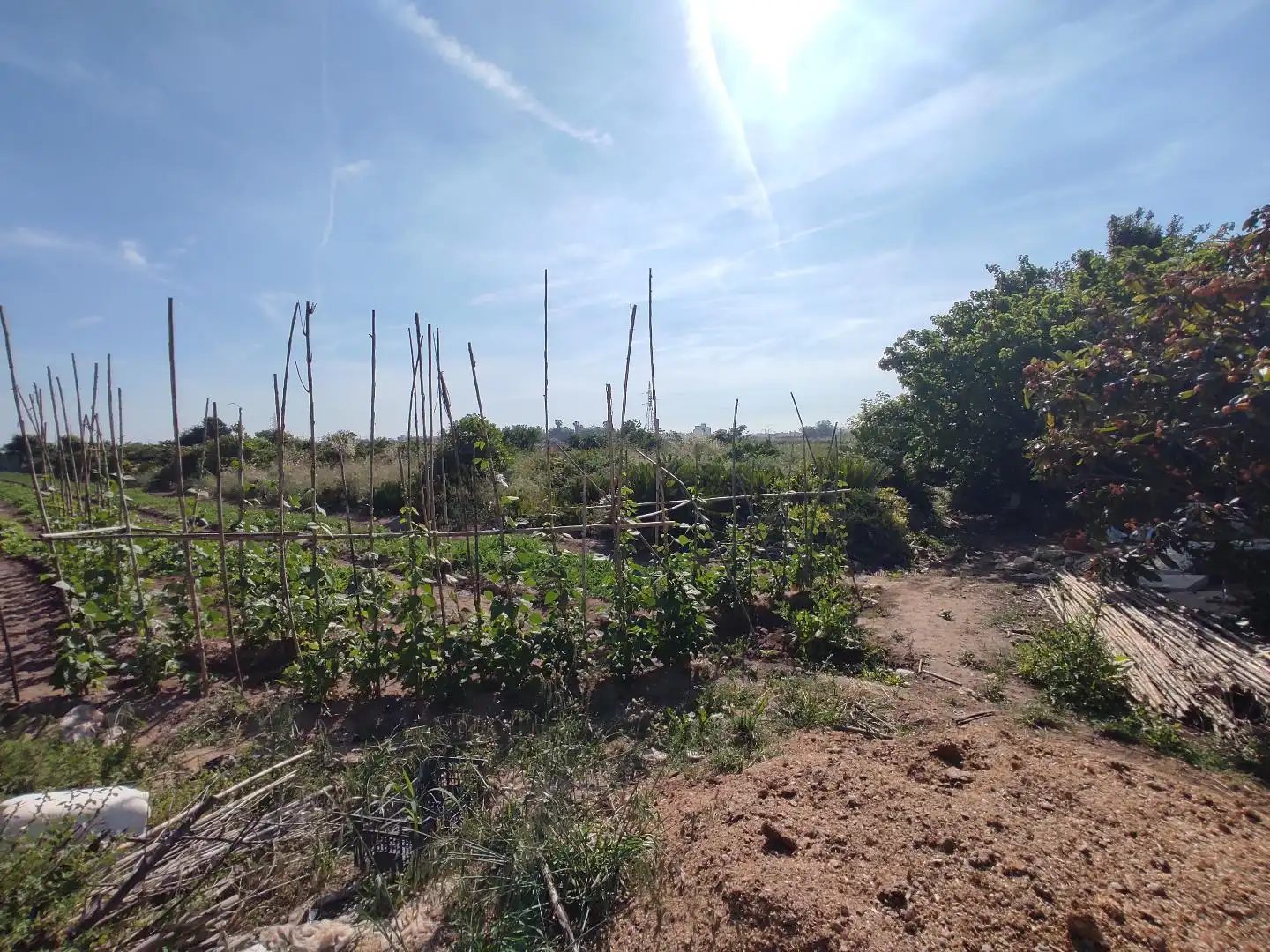 Land for sale in Valencia